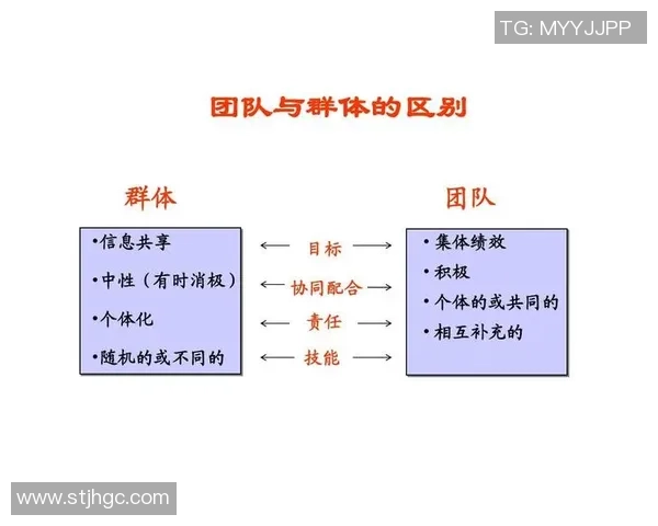 深圳街舞队力量表现数据分析揭示团队协作与个体技能的完美结合